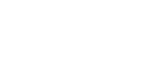 logo TS